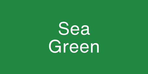 Sea green rectangle.