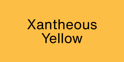 Xantheous yellow rectangle.